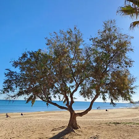 Apartament Casa Feliz I