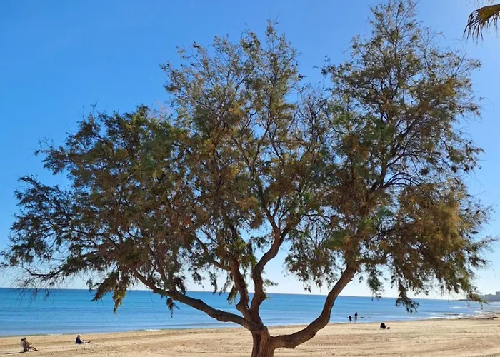 Apartament Casa Feliz I